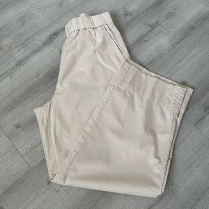 Everlane The Easy Pant in Canvas